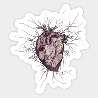 Human heart and veins, arteries, blood, illustration art, dark, purple roses Sticker